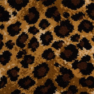 Safari Collection - Leopard